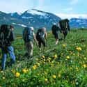 Sweden is listed (or ranked) 5 on the list The Best Countries for Hiking