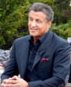 Sylvester Stallone on Random Celebrities Who Look Worse After Plastic Surgery