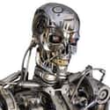 Terminator on Random Greatest Robots