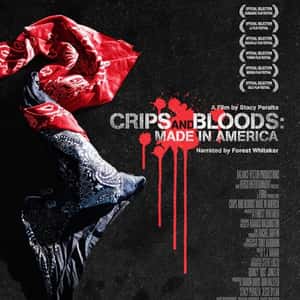 Crips & Bloods: Made in America