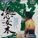 Adultery Tree on Random Best Korean Historical Movies