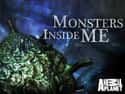 Monsters Inside Me on Random Best Current Animal Planet Shows