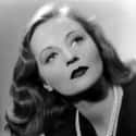 Tallulah Bankhead on Random Awesome Old Hollywood Actresses Who Slept With Whoever They Felt Like