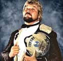 Ted DiBiase on Random Best Pro Wrestling Champions