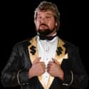 Ted DiBiase on Random Ranking Greatest WWE Hall of Fame Inductees