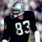 Ted Hendricks is listed (or ranked) 11 on the list The Best Green Bay Packers Linebackers of All Time