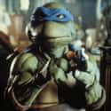 Teenage Mutant Ninja Turtles on Random Best Movie Franchises