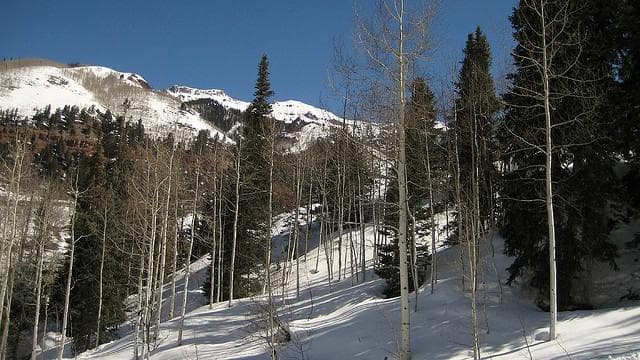 Telluride
