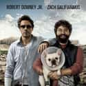 Due Date on Random Funniest Road Trip Comedy Movies
