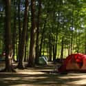 Texas on Random Best U.S. States for Camping