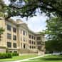 Texas A&M University-Texarkana is listed (or ranked) 7 on the list The Cheapest Colleges in Texas