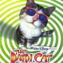 Christina Ricci, Dyan Cannon, Michael McKean   Released: 1997 That Darn Cat is a 1997 mystery comedy film starring Christina Ricci and Doug E. Doug.