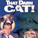 Roddy McDowall, Hayley Mills, Elsa Lanchester   That Darn Cat! is a 1965 American Walt Disney Productions thriller comedy film starring Hayley Mills and Dean Jones.