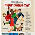 That Darn Cat! on Random Best Cat Movies