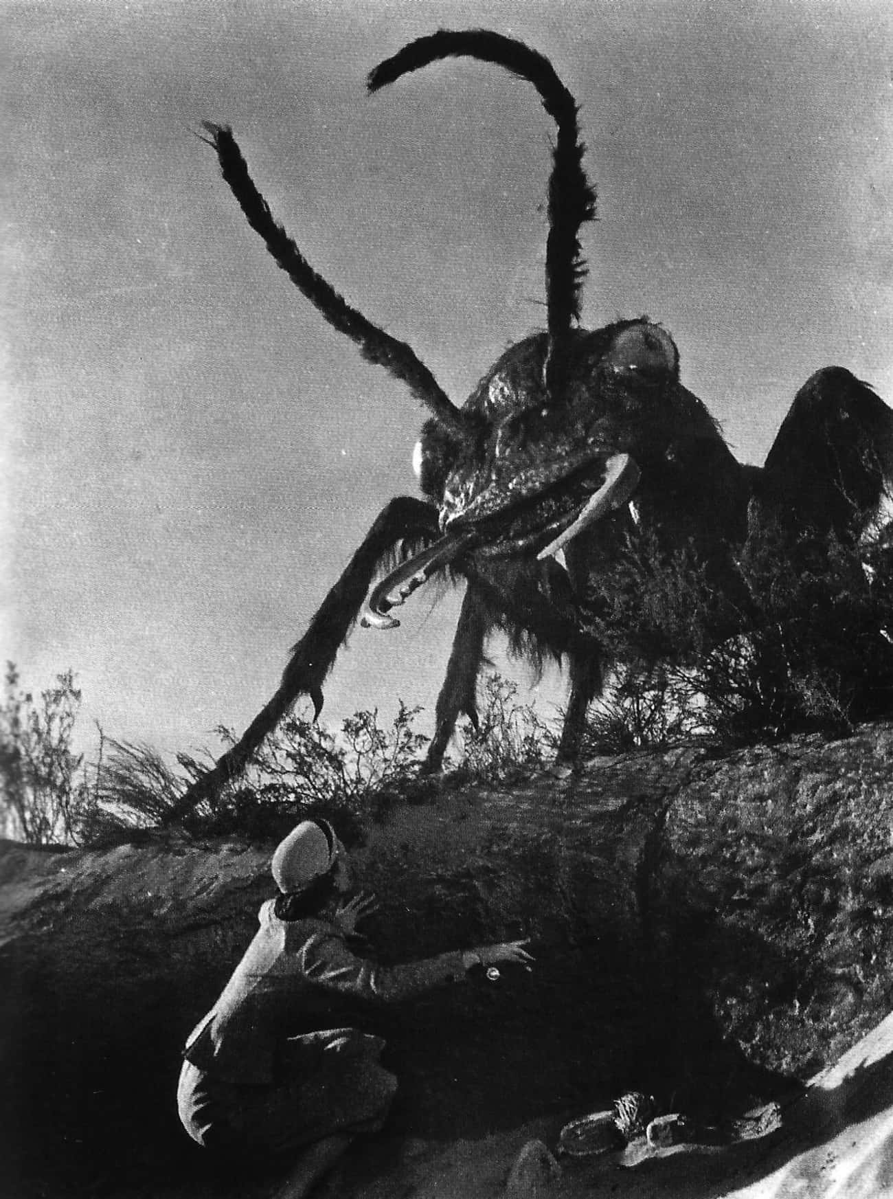 Bill Foster References The B-Movie Insect Terror Of &#39;Them!&#39;