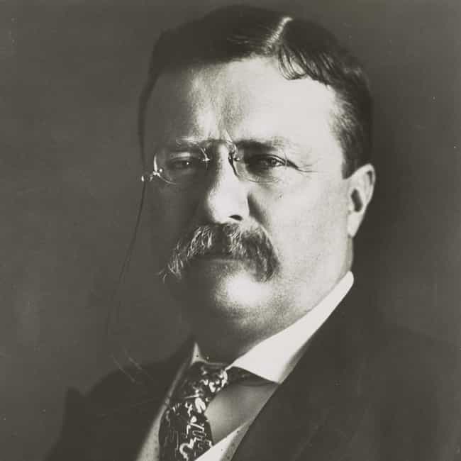 Theodore Roosevelt