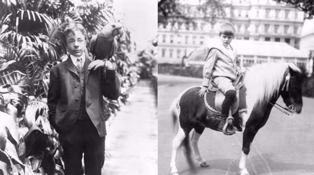 Theodore Roosevelt Basically Turned The White House Into A Zoo