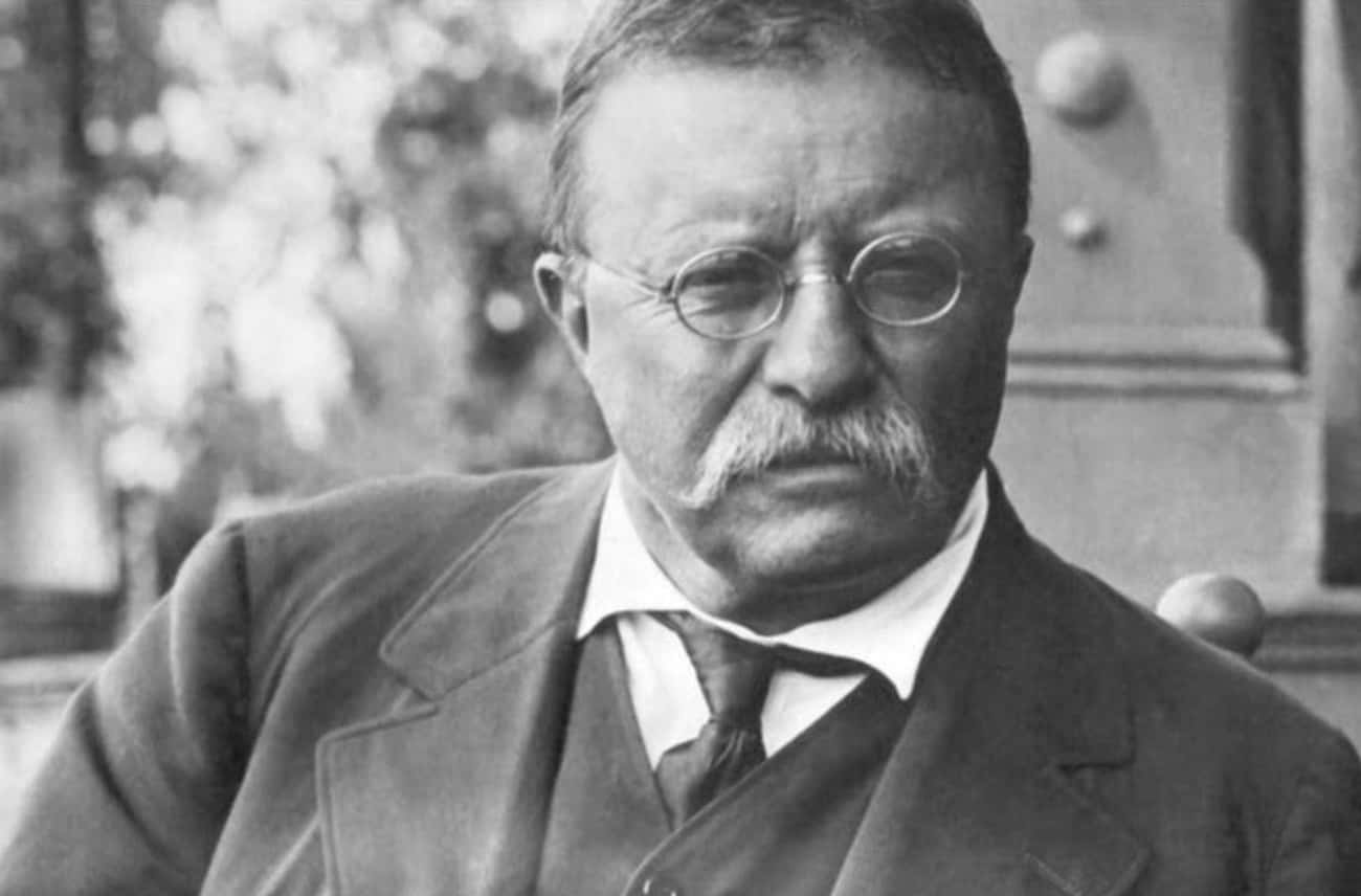 Theodore Roosevelt, 1919 (Died Of A Blood Clot On Jan. 6, 1919)