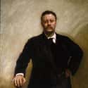 Theodore Roosevelt on Random Presidential Portraits