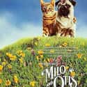 The Adventures of Milo and Otis on Random Greatest Animal Movies