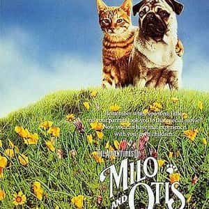 The Adventures of Milo and Otis