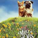 Dudley Moore, Shigeru Tsuyugushi   The Adventures of Milo and Otis is an Japanese adventure comedy-drama film about two animals, the titular characters, Milo and Otis.