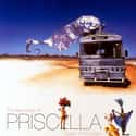The Adventures of Priscilla, Queen of the Desert on Random Best LGBTQ+ Themed Movies
