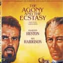 1965   The Agony and the Ecstasy is a 1965 film directed by Carol Reed, starring Charlton Heston as Michelangelo and Rex Harrison as Pope Julius II.