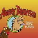 The Angry Beavers on Random Best Nickelodeon Shows of the '90s