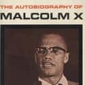 Alex Haley, Malcolm X   The Autobiography of Malcolm X was published in 1965, the result of a collaboration between human rights activist Malcolm X and journalist Alex Haley.