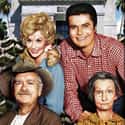 The Beverly Hillbillies on Random Very Best Shows That Aired in the 1960s