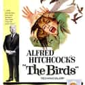 Alfred Hitchcock, Tippi Hedren, Suzanne Pleshette   The Birds is a 1963 suspense/horror film directed by Alfred Hitchcock, loosely based on the 1952 story "The Birds" by Daphne du Maurier.