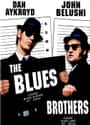 The Blues Brothers on Random Greatest Movies Of 1980s