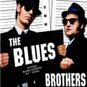Carrie Fisher, Aretha Franklin, Steven Spielberg   The Blues Brothers is a 1980 American musical comedy film directed by John Landis and starring John Belushi and Dan Aykroyd as "Joliet" Jake and Elwood Blues, characters developed from...