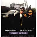 The Blues Brothers on Random Funniest Road Trip Comedy Movies