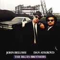 1980   The Blues Brothers is a 1980 American musical comedy film directed by John Landis and starring John Belushi and Dan Aykroyd as "Joliet" Jake and Elwood Blues, characters developed from...