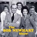 The Bob Newhart Show on Random TV Shows Canceled Before Their Time