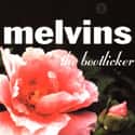The Bootlicker on Random Best Melvins Albums