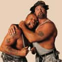 The Bushwhackers on Random Best Tag Teams In WWE History