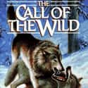 The Call of the Wild on Random Best Novels Ever Written