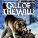 The Call of the Wild on Random Best Books for Teens