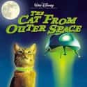 The Cat from Outer Space on Random Best Disney Movies Starring Cats
