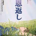 Aki Maeda, Tetsurō Tamba, Takayuki Yamada   Released: 2005 The Cat Returns is a 2002 Japanese animated drama film directed by Hiroyuki Morita of Studio Ghibli.