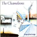 The Chameleons on Random Best Dream Pop Bands