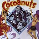 Groucho Marx, Harpo Marx, Zeppo Marx   The Cocoanuts is the Marx Brothers' first feature-length film.