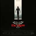 The Crow on Random Best Movies With A Bird Name In Titl
