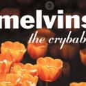 The Crybaby on Random Best Melvins Albums