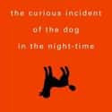 The Curious Incident of the Dog in the Night-Time on Random Best Books for Teens