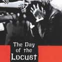 Nathanael West   The Day of the Locust is a 1939 novel by American author Nathanael West, set in Hollywood, California, during the Great Depression.