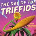 John Wyndham   The Day of the Triffids is a 1951 post-apocalyptic novel about a plague of blindness that befalls the entire world, allowing the rise of an aggressive species of plant.